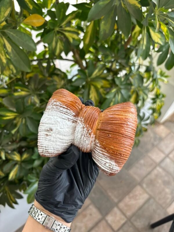 WhatsApp Image 2025-12-21 at 11.17.27 PM (3)