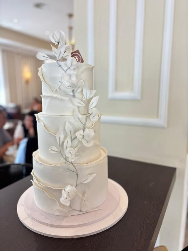 WhatsApp Image 2025-12-21 at 7.31.24 PM